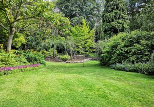 Optimiser l'expérience du jardin à Chatenay-en-France
